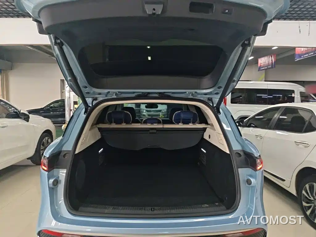 VOYAH FREE 2021 AWD Standard Range Extender Exclusive Luxury Package — фото 19