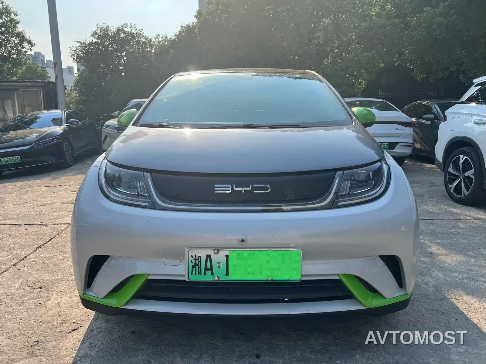 BYD Dolphin 2021 Model 405km Fashion Edition — фото 2