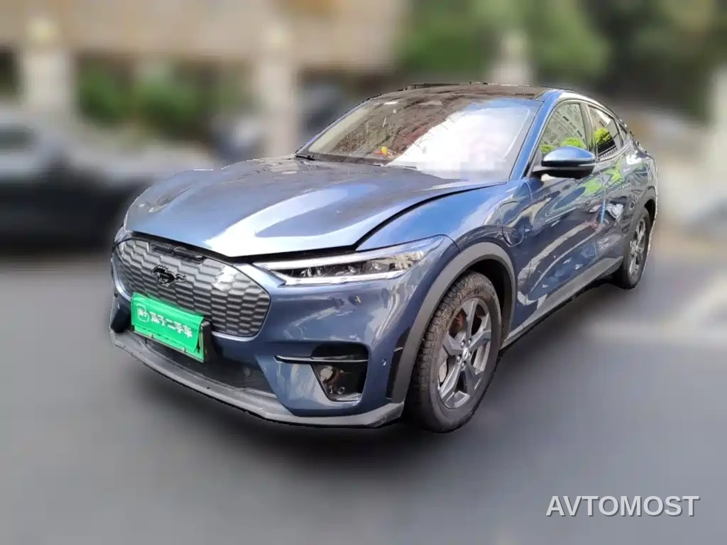 Ford Mustang Mach-E 2021 Leap World RWD (Standard Range) — фото 1
