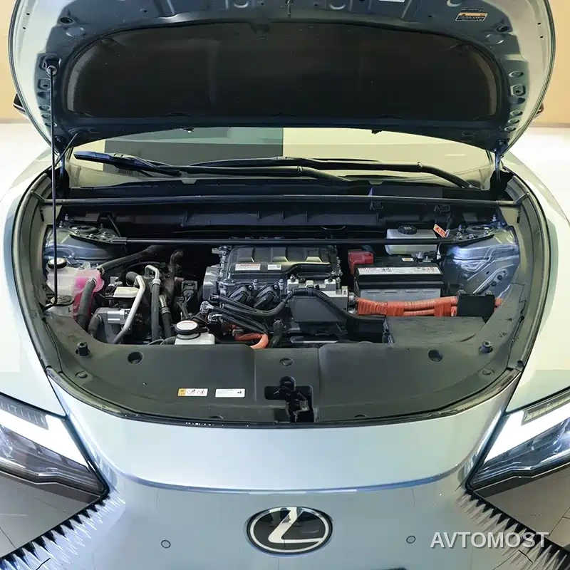Lexus RZ 2023 450e 4WD Deluxe — фото 12