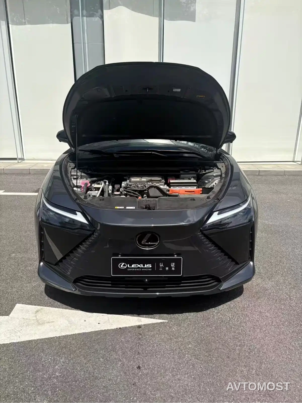 Lexus RZ 2023 450e 4WD Deluxe — фото 12