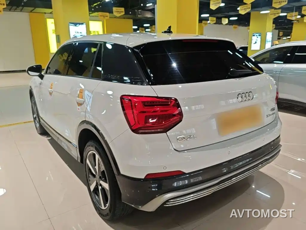 Audi Q2L e-tron 2019 Q2L e-tron Pure Electric Smart Enjoyment — фото 22