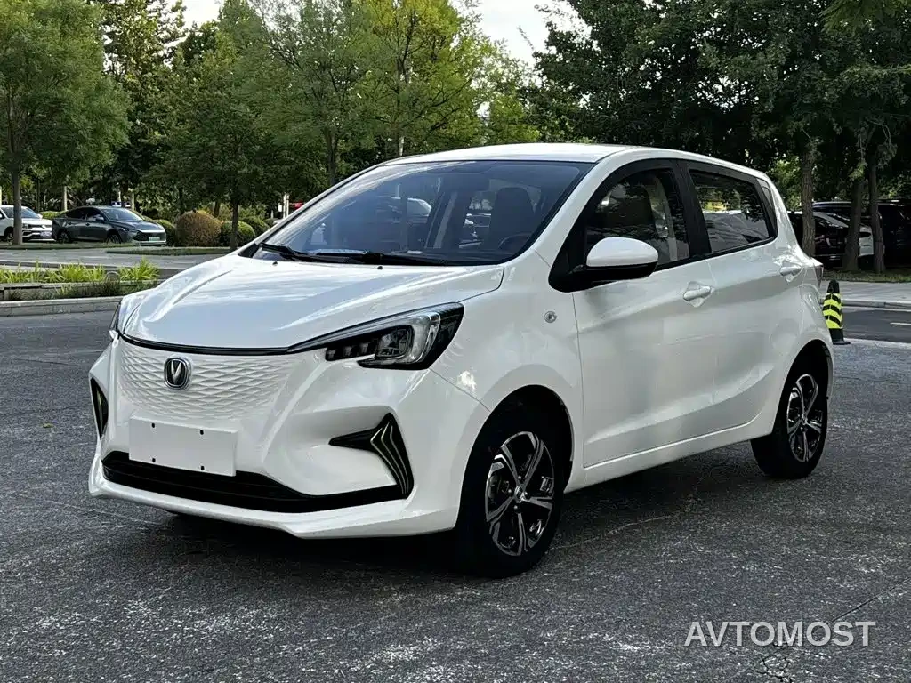 Changan Benben E-Star 2020 Heartbeat Edition (NMC Battery) — фото 1