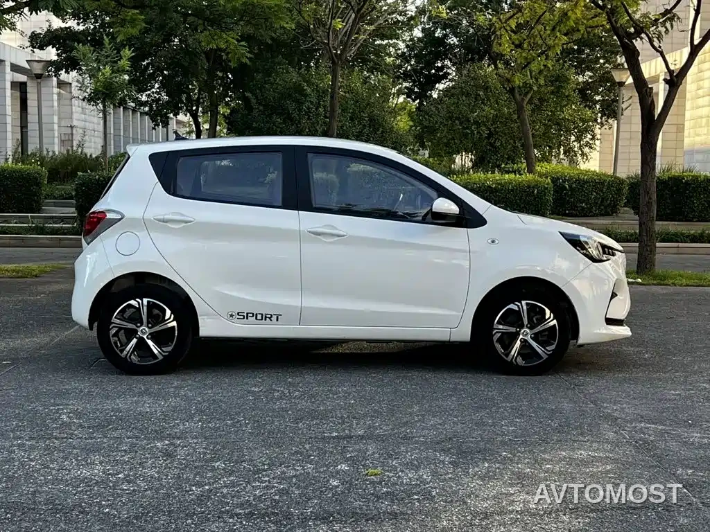 Changan Benben E-Star 2020 Heartbeat Edition (NMC Battery) — фото 11