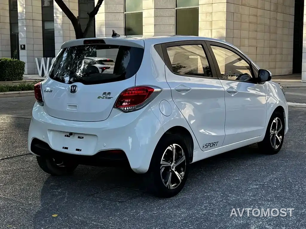 Changan Benben E-Star 2020 Heartbeat Edition (NMC Battery) — фото 16