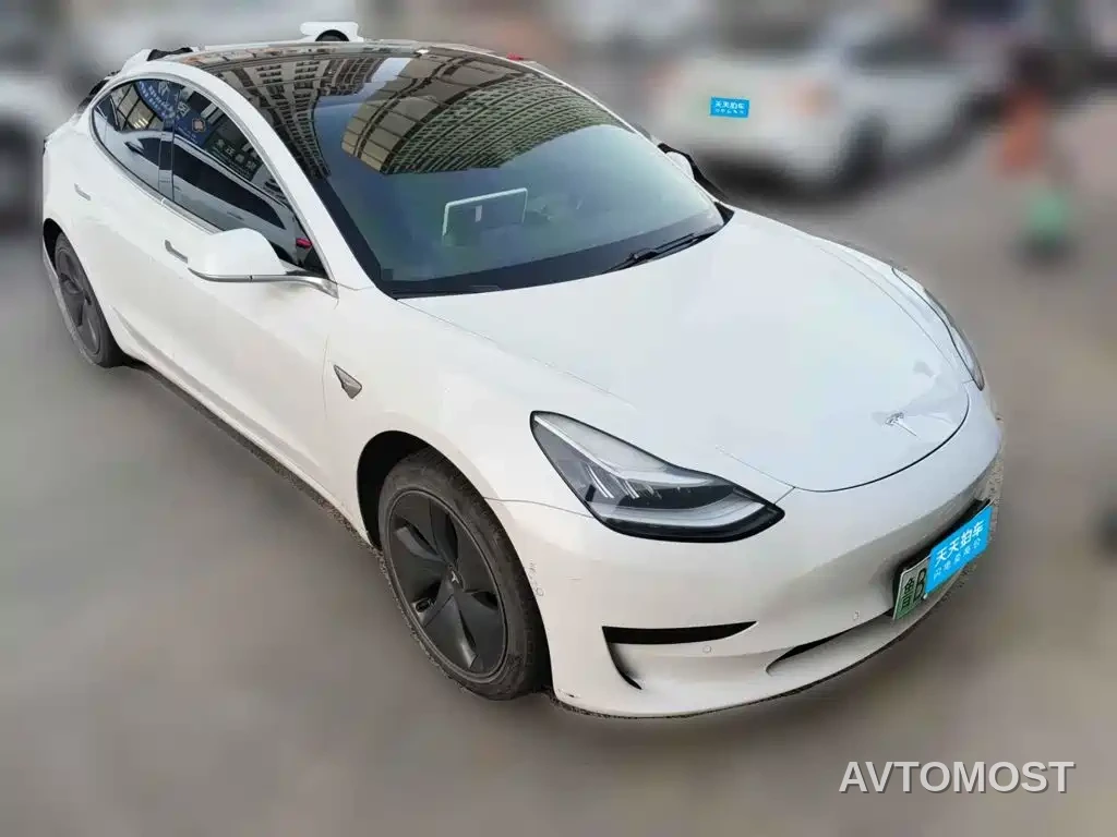 Tesla Model 3 2019 Standard Range Rear-Wheel Drive Upgrade — фото 3