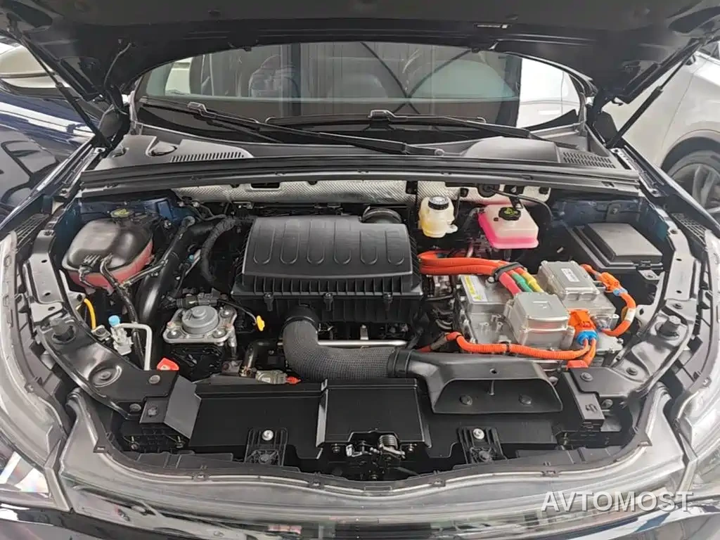 Denza X 2020 Model PHEV Flagship Edition — фото 16