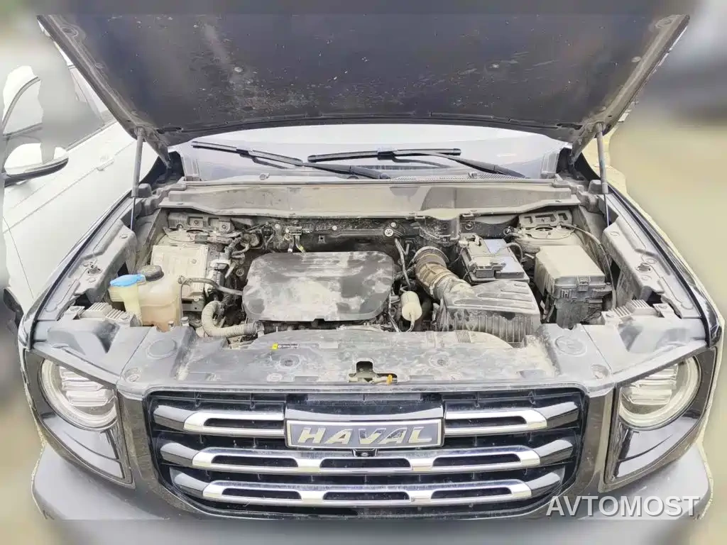 Haval Big Dog 2022 1.5T DCT FWD Labrador Edition — фото 3