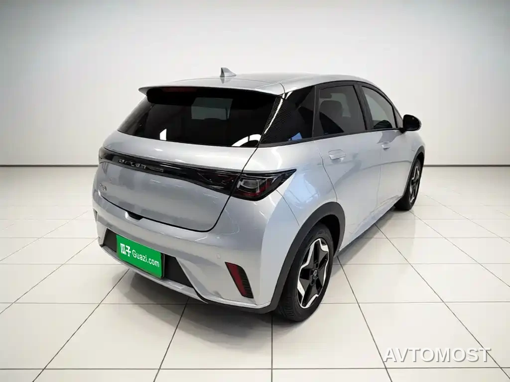 BYD Dolphin 2021 Model 405km Fashion Edition — фото 6