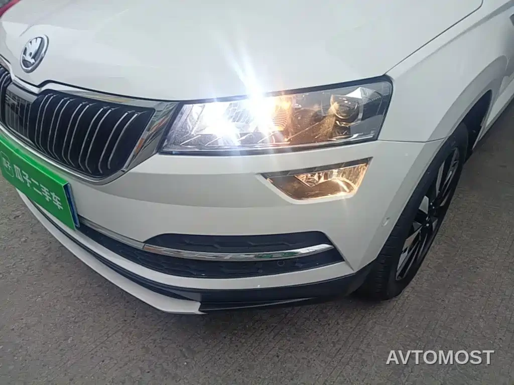 Škoda Karoq 2021 TSI280 Luxury Edition — фото 22