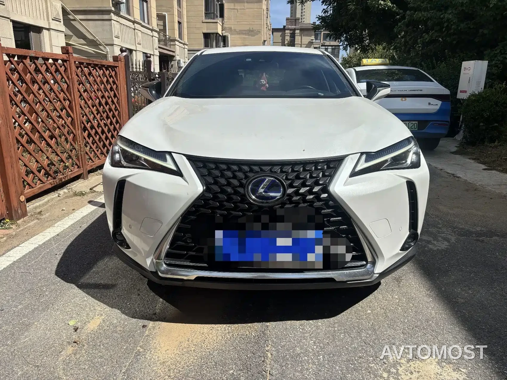 Lexus UX 2020 260h Explore Fun Edition China V — фото 2