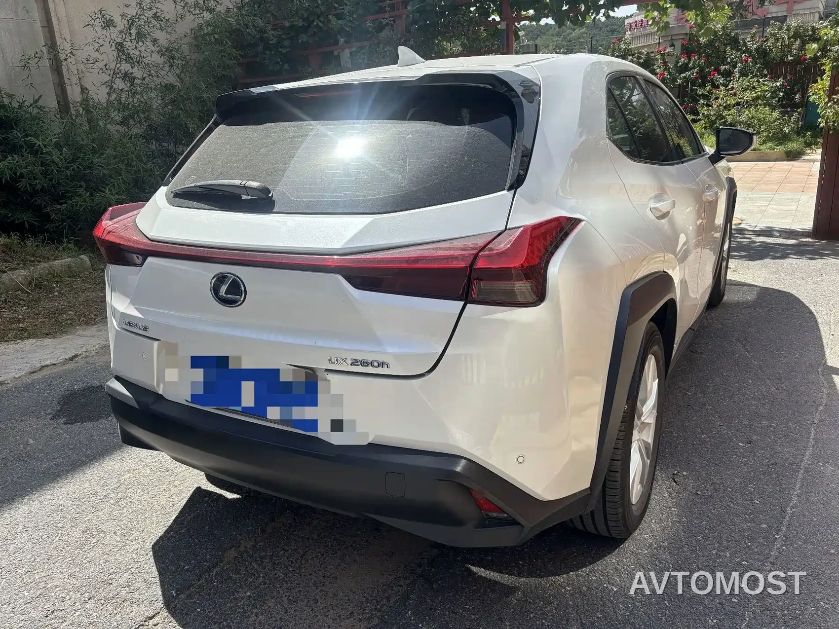 Lexus UX 2020 260h Explore Fun Edition China V — фото 4