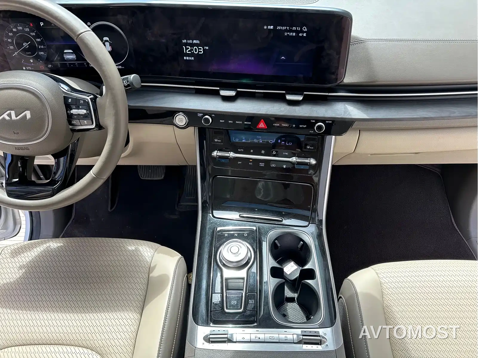 Kia Carnival 2021 2.0T Flagship Edition — фото 14