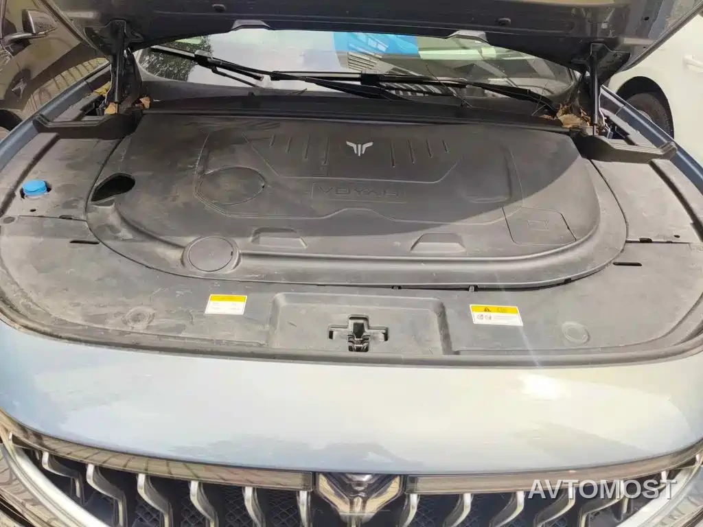 VOYAH FREE 2021 AWD Standard Range Extender Exclusive Luxury Package — фото 3