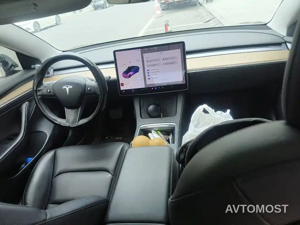 Tesla Model 3 2021 Standard Range Rear-Wheel Drive Upgrade — фото 12