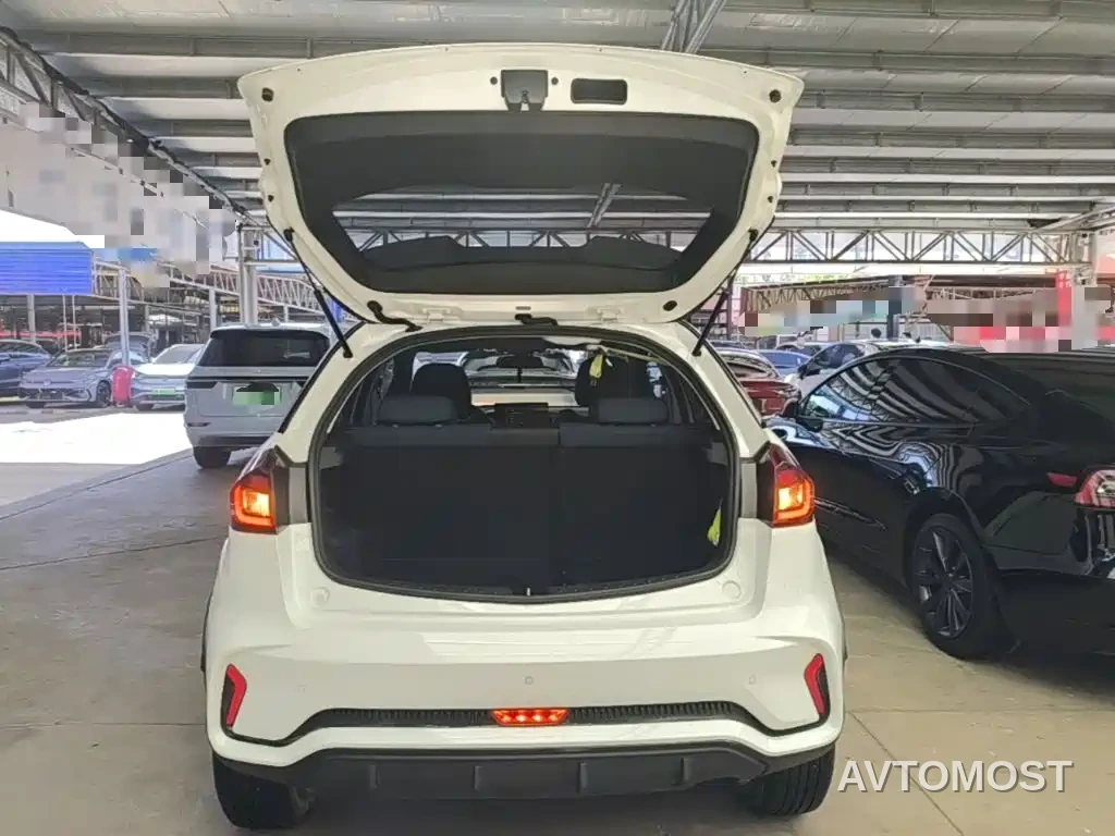 Geely Geometry EX3 Kung Fu Bull 2021 Kung Fu Niu — фото 16