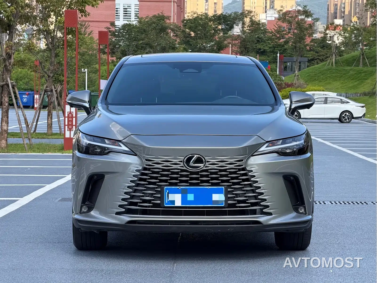 Lexus RX 2025 300 4WD Premium Edition — фото 2