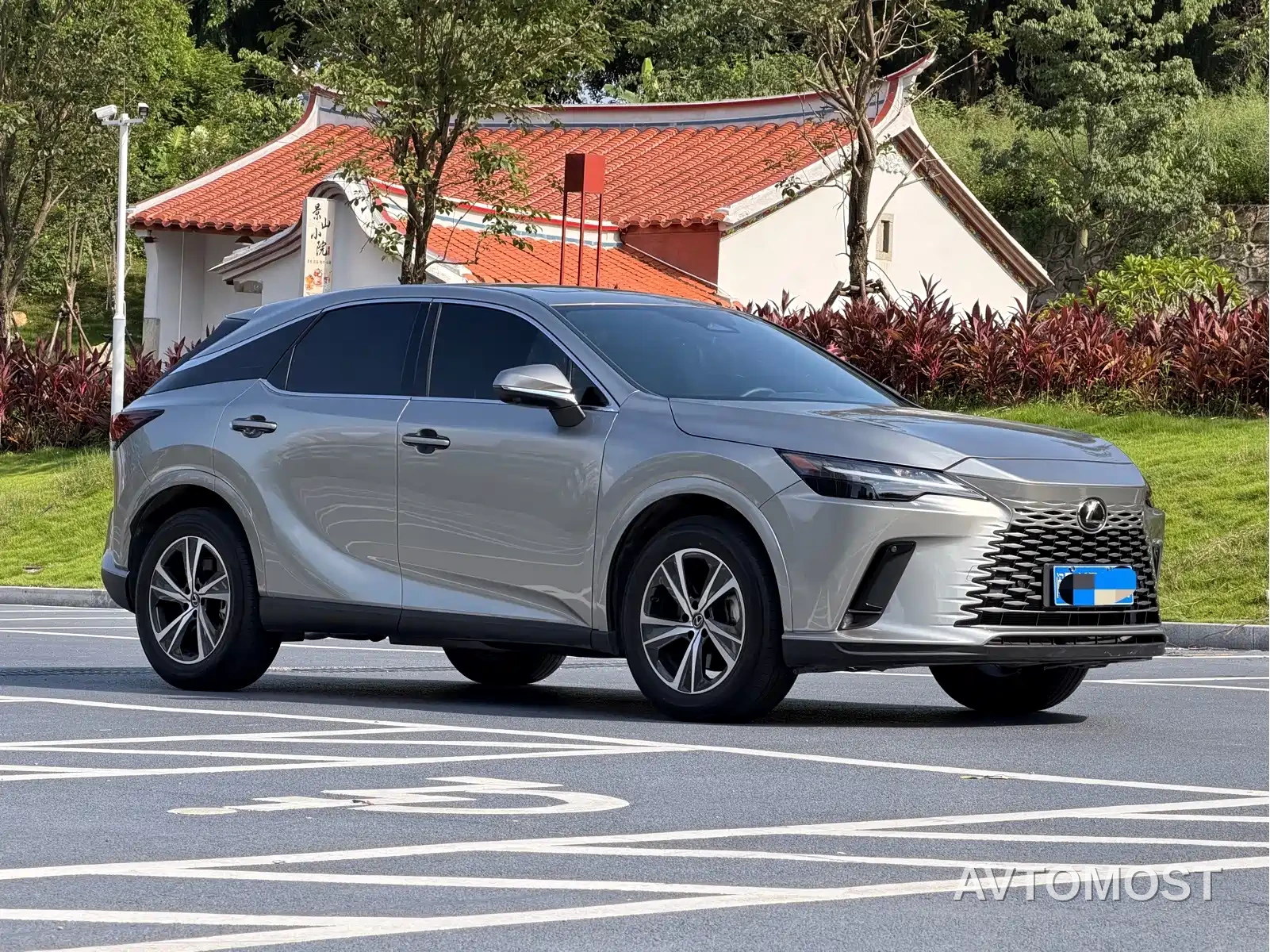 Lexus RX 2025 300 4WD Premium Edition — фото 3