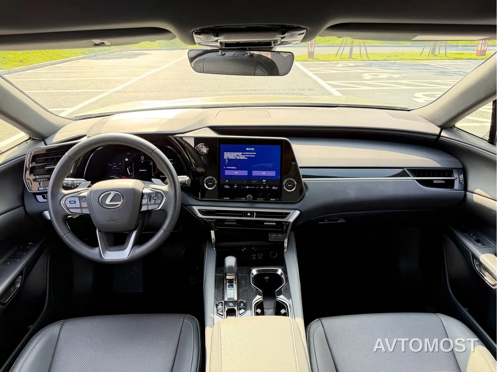 Lexus RX 2025 300 4WD Premium Edition — фото 9