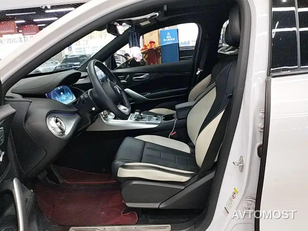 Denza X 2020 PHEV Sport Edition — фото 13