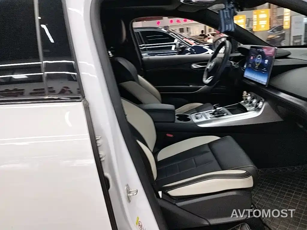 Denza X 2020 PHEV Sport Edition — фото 21