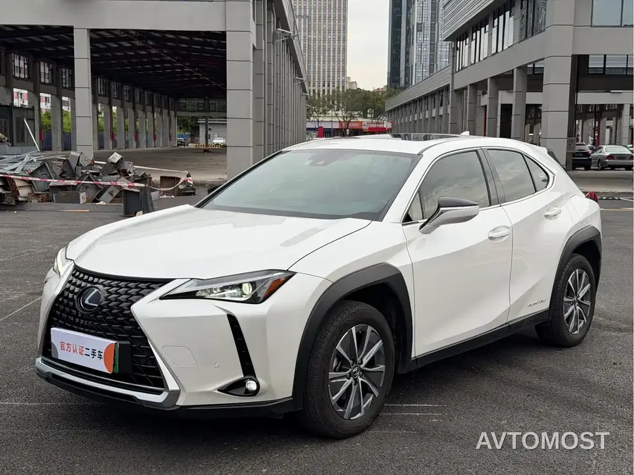Lexus UX Electric 2020 300e Pure Yue Edition
