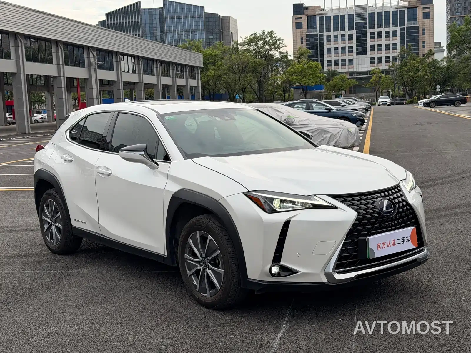 Lexus UX Electric 2020 300e Pure Yue Edition — фото 2