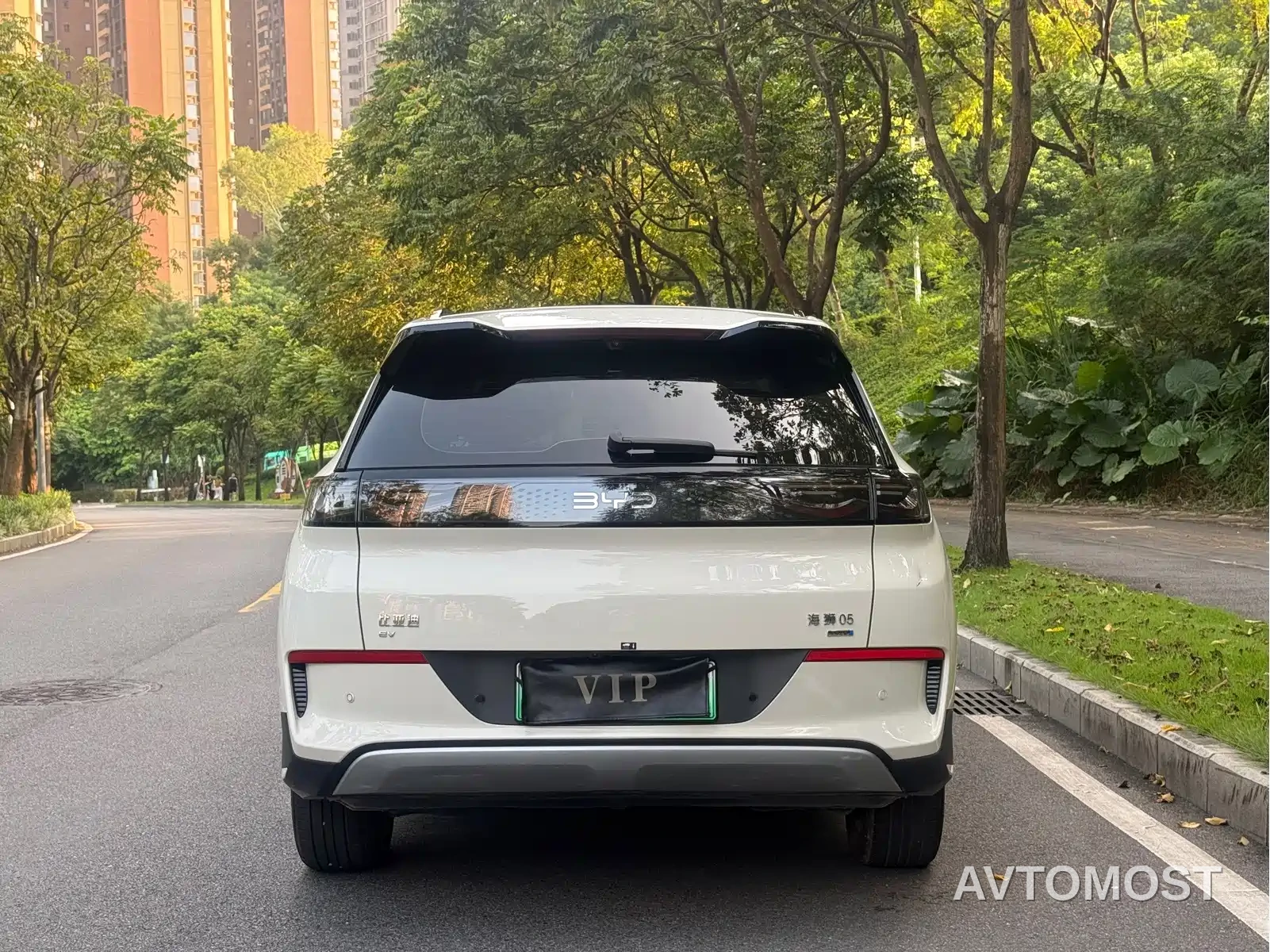 BYD Hai Shi 05 EV 2025 520KM Smart Navigation Edition — фото 11
