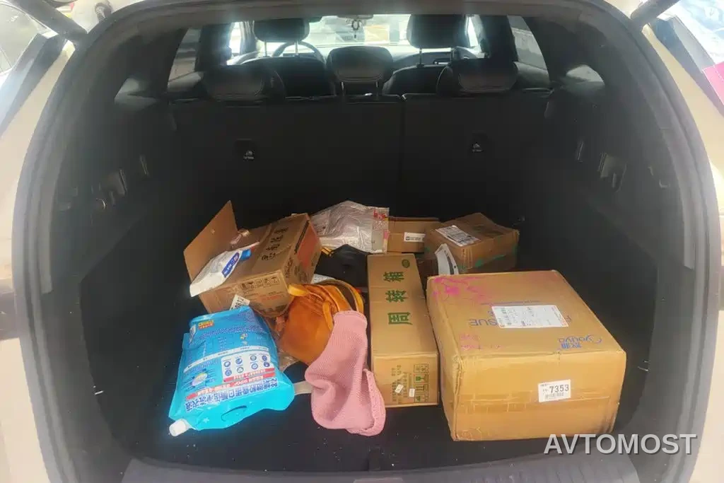 BYD Seal 06 DM-i Touring 2025 DM-i 80KM Premium — фото 4
