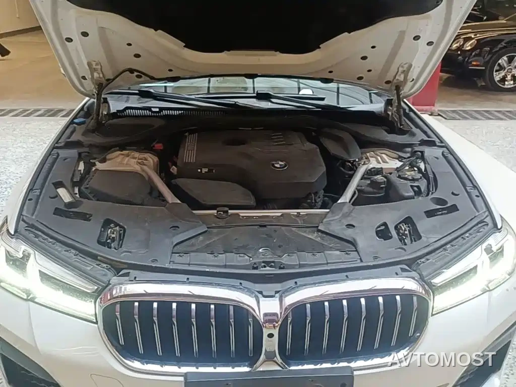 BMW 5 Series 2022 Model Second Facelift 530Li Leading M Sport Package — фото 19