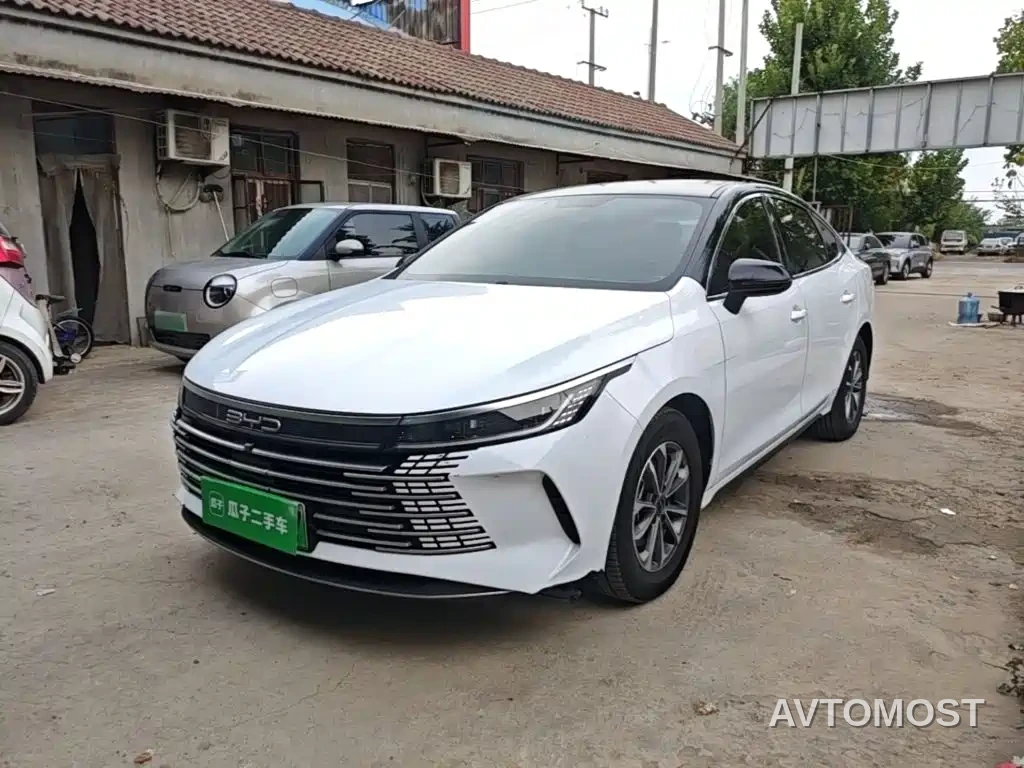 BYD Destroyer 05 2023 Champion Edition DM-i 55KM Luxury — фото 2