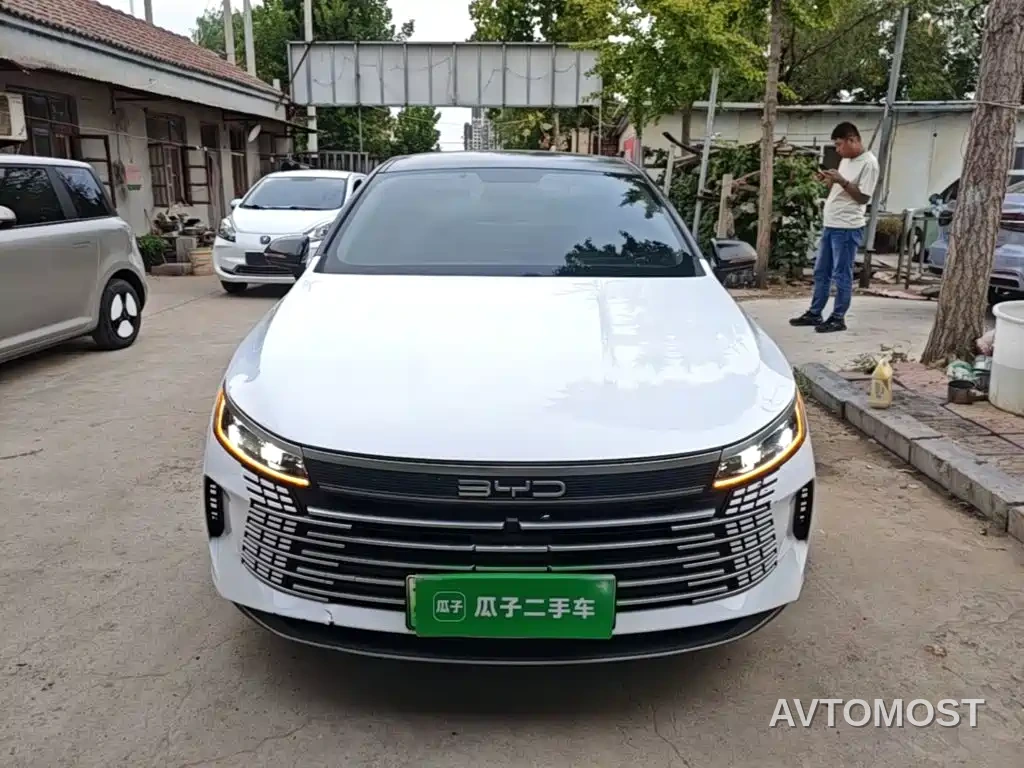 BYD Destroyer 05 2023 Champion Edition DM-i 55KM Luxury — фото 3