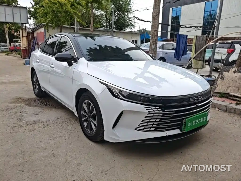 BYD Destroyer 05 2023 Champion Edition DM-i 55KM Luxury — фото 4