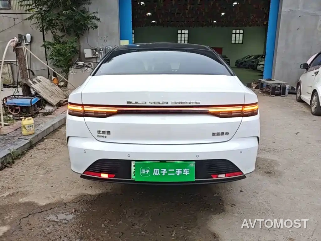 BYD Destroyer 05 2023 Champion Edition DM-i 55KM Luxury — фото 6