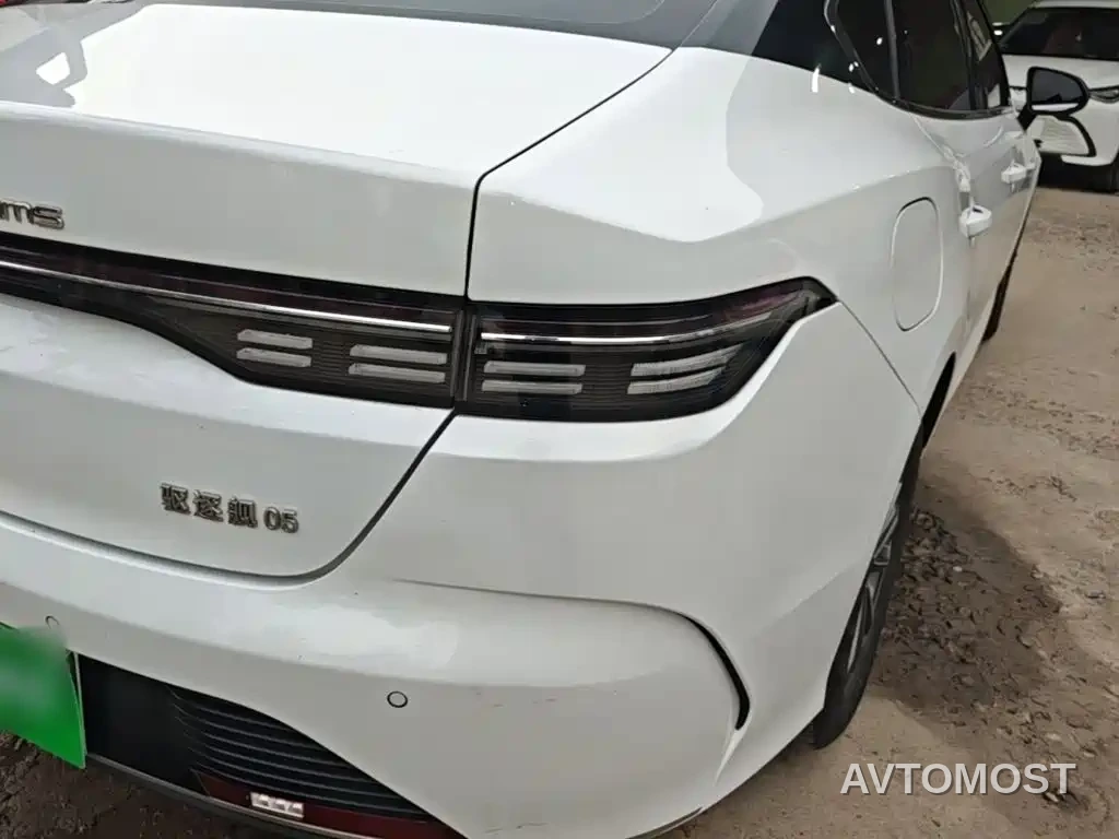 BYD Destroyer 05 2023 Champion Edition DM-i 55KM Luxury — фото 8
