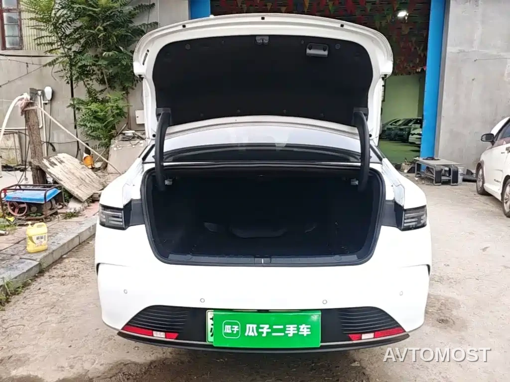 BYD Destroyer 05 2023 Champion Edition DM-i 55KM Luxury — фото 19