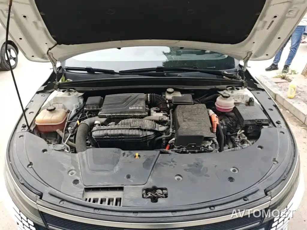 BYD Destroyer 05 2023 Champion Edition DM-i 55KM Luxury — фото 20