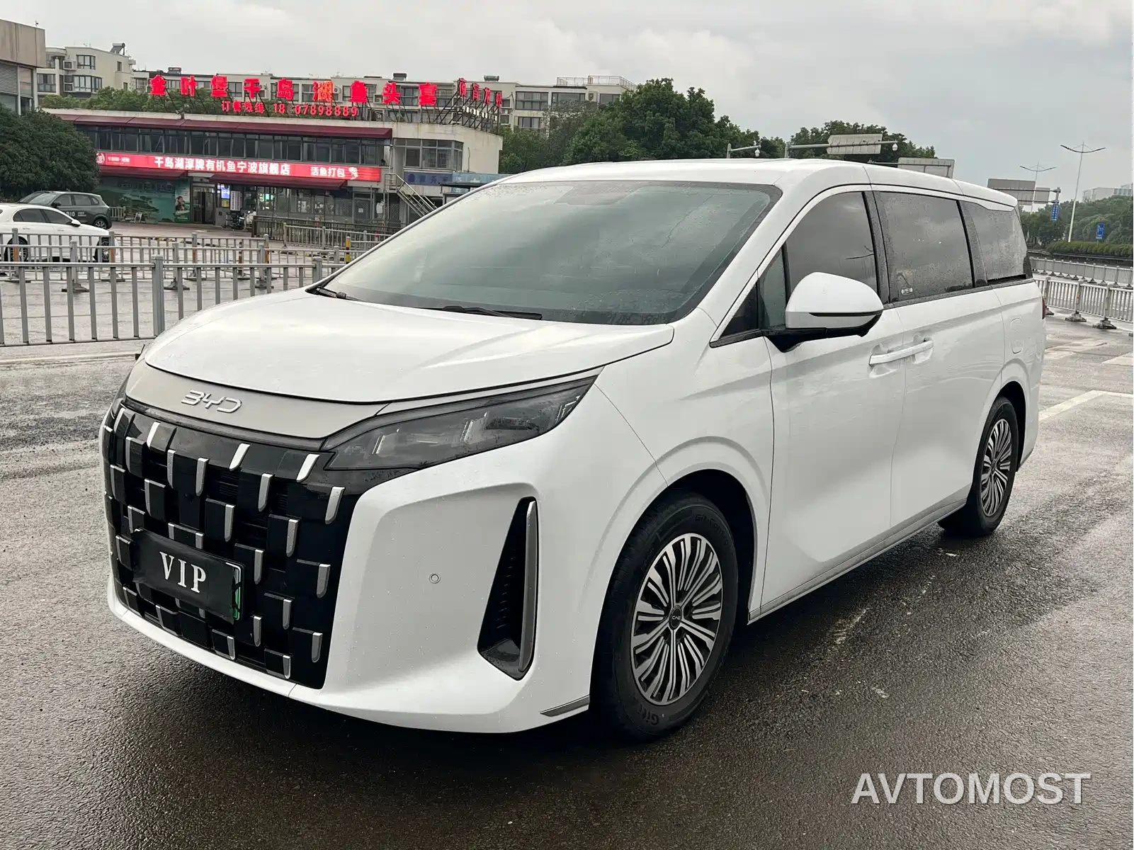 BYD M9 2025 Model 1060 Pilot Edition — фото 1