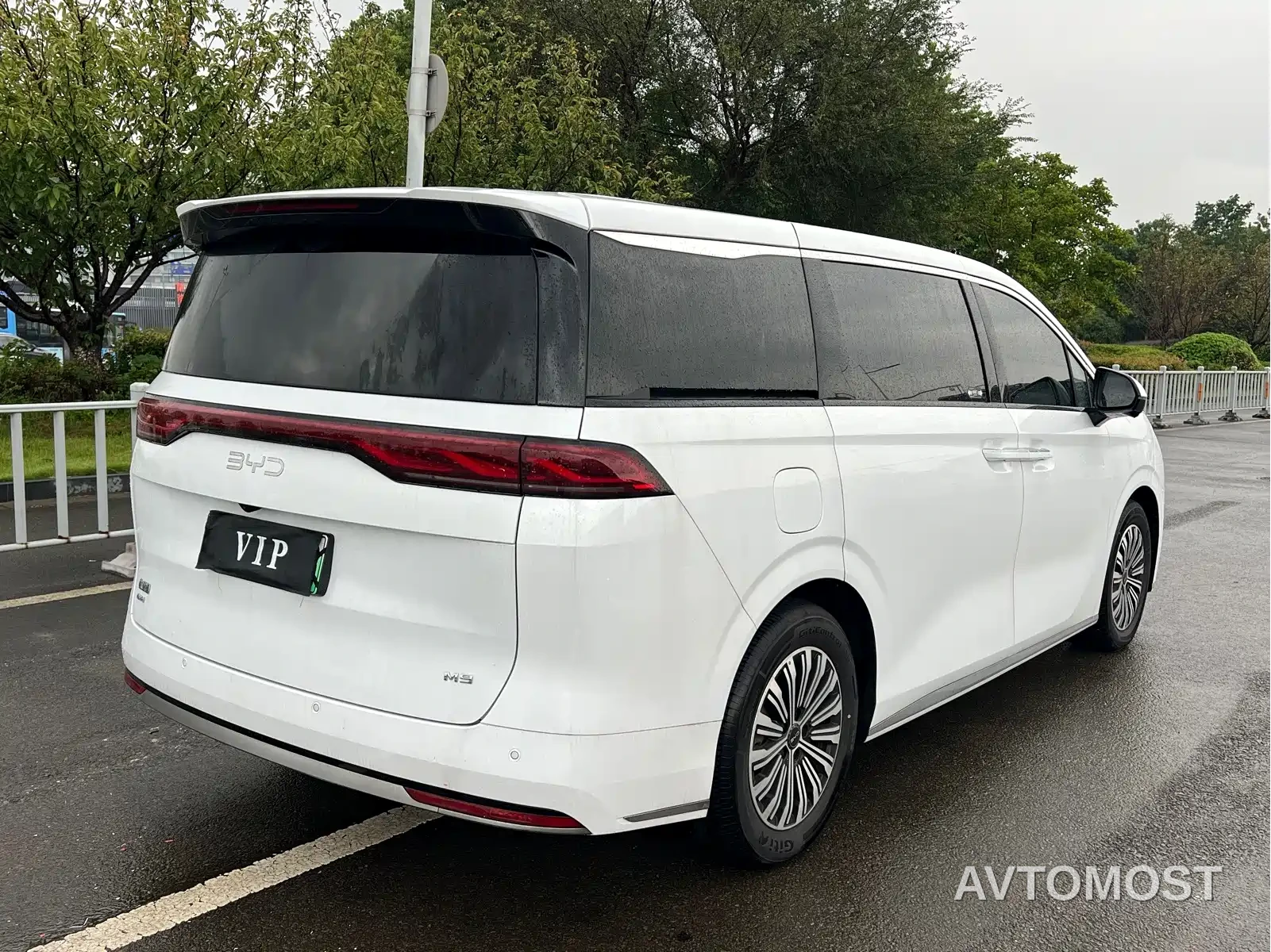 BYD M9 2025 Model 1060 Pilot Edition — фото 13