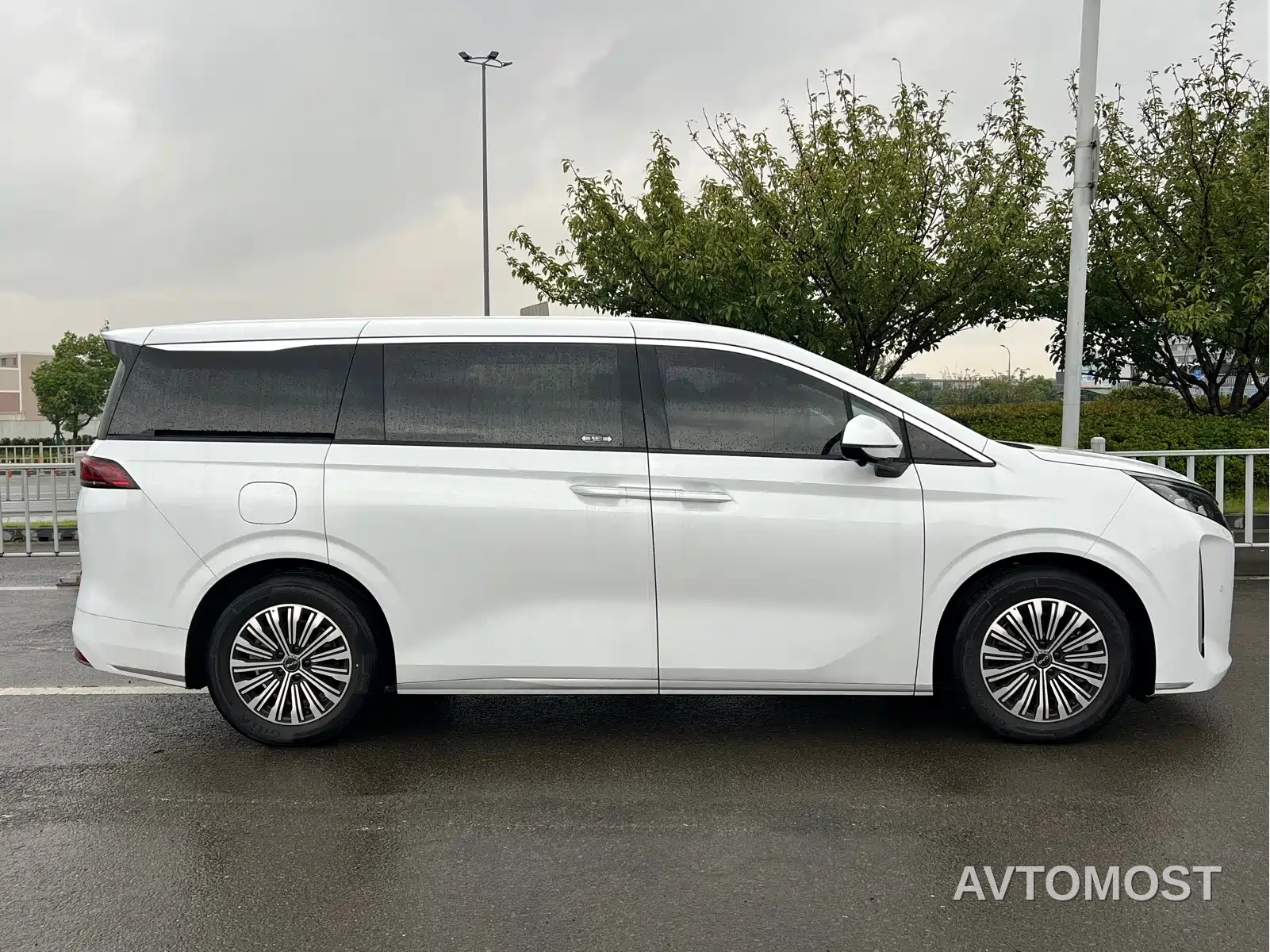 BYD M9 2025 Model 1060 Pilot Edition — фото 16