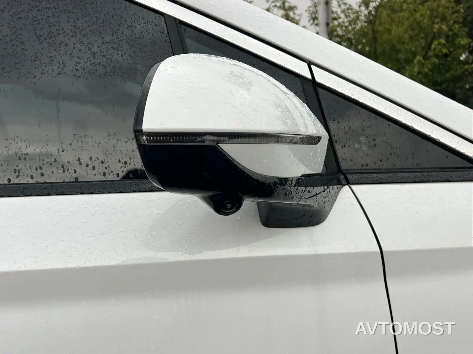 BYD M9 2025 Model 1060 Pilot Edition — фото 17
