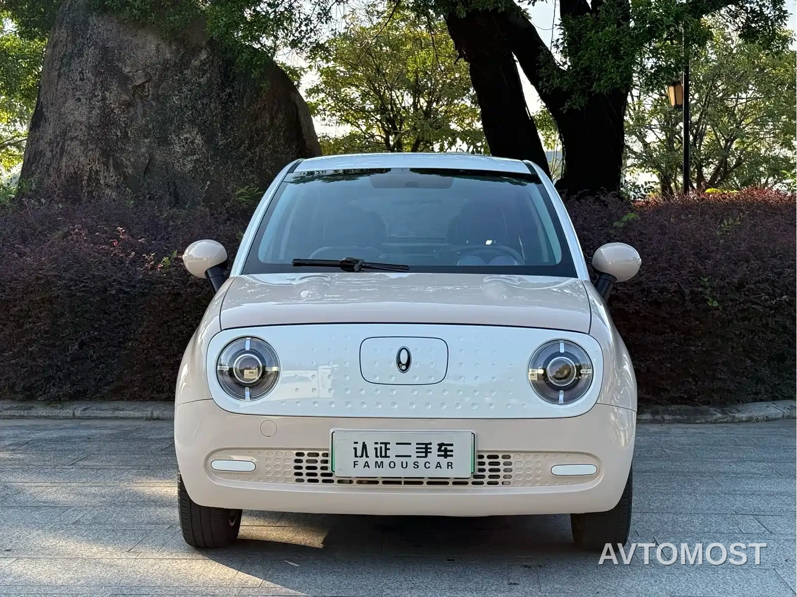 Ora Black Cat 2022 301km Cute Pet Edition (LFP) — фото 2