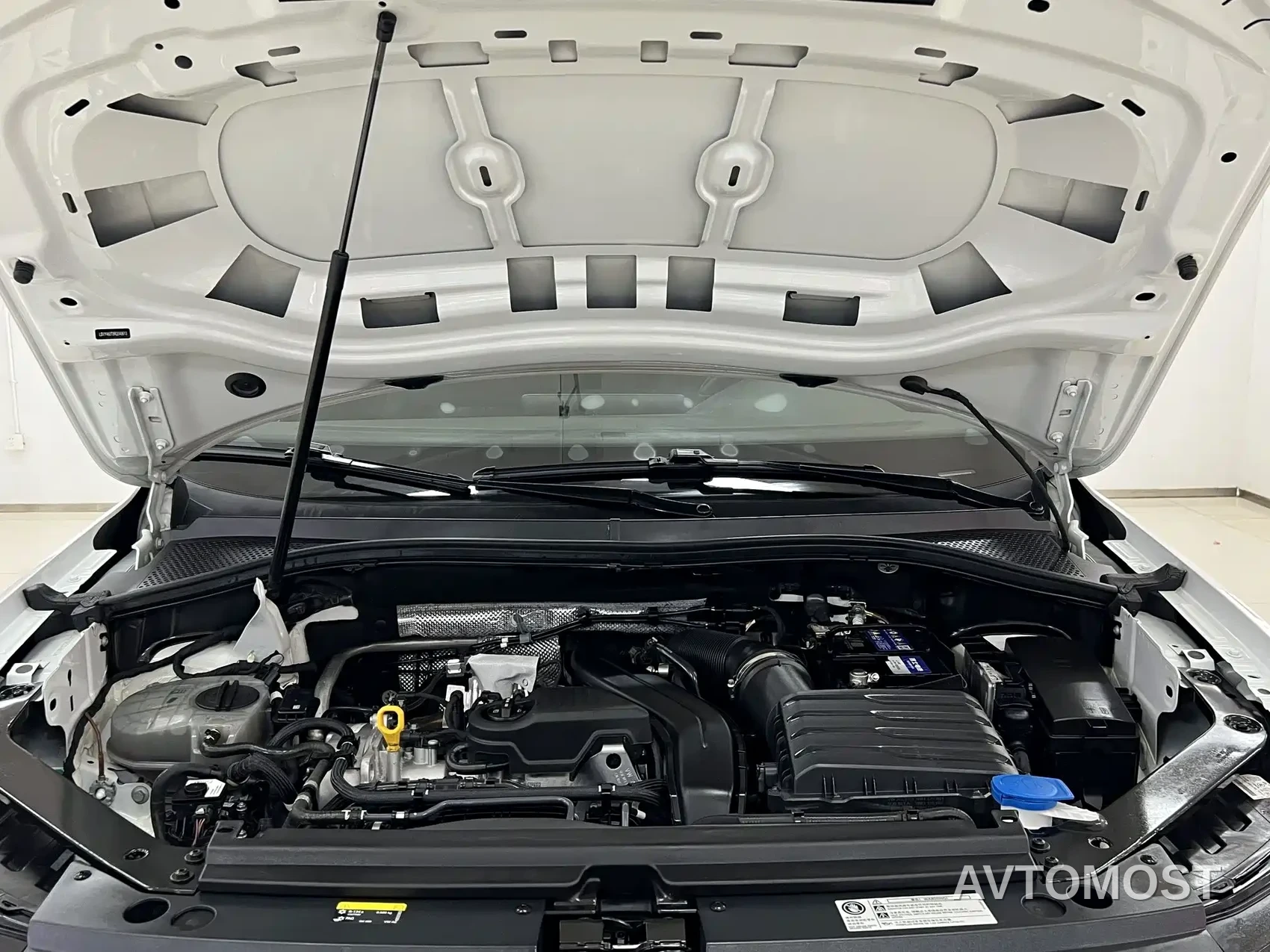 Volkswagen Tiguan L 2024 Outstanding 300TSI Auto 2WD Dragon Soaring Edition — фото 13