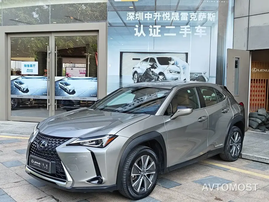 Lexus UX Electric 2020 300e Pure Yue Edition