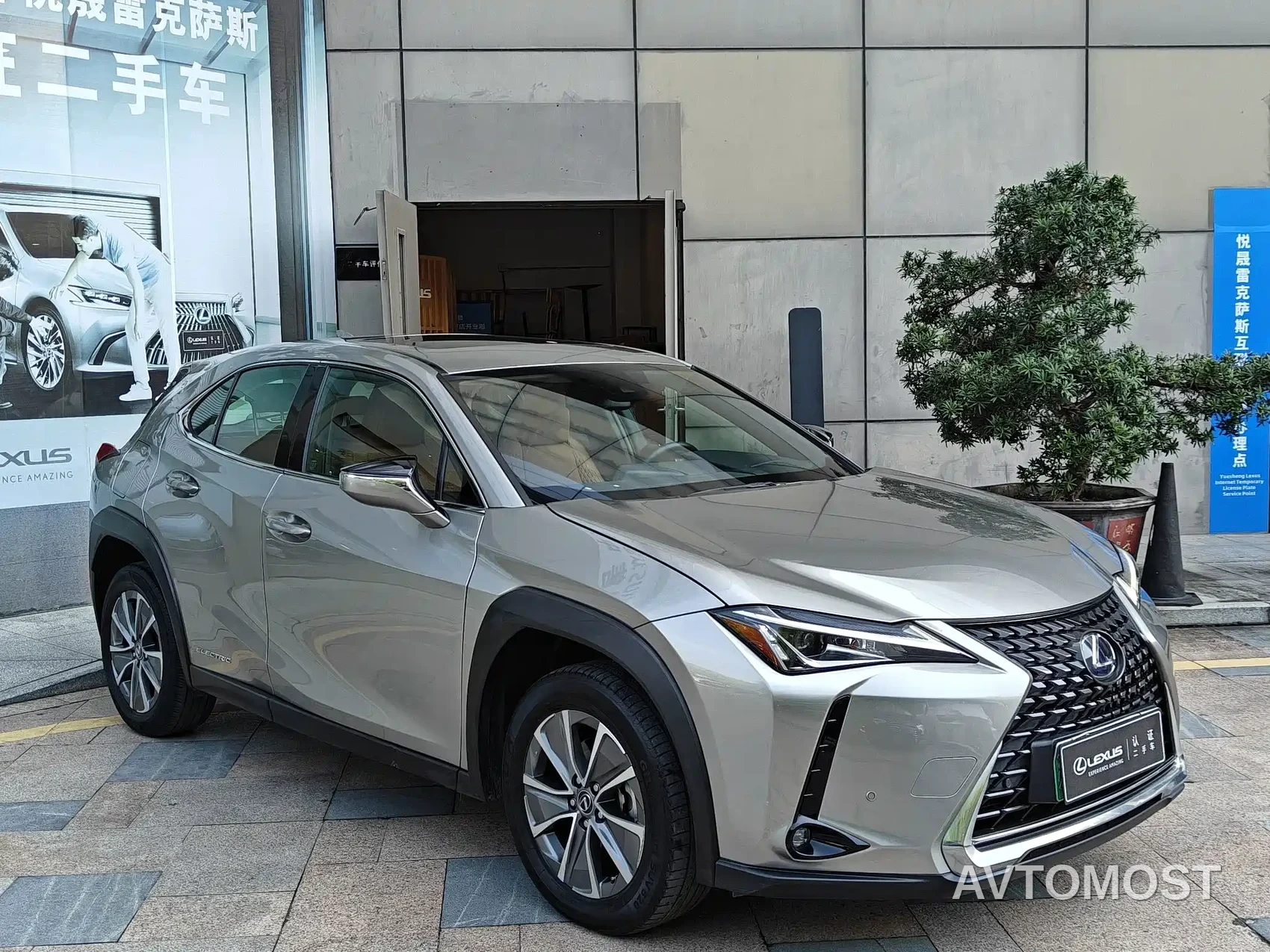 Lexus UX Electric 2020 300e Pure Yue Edition — фото 3