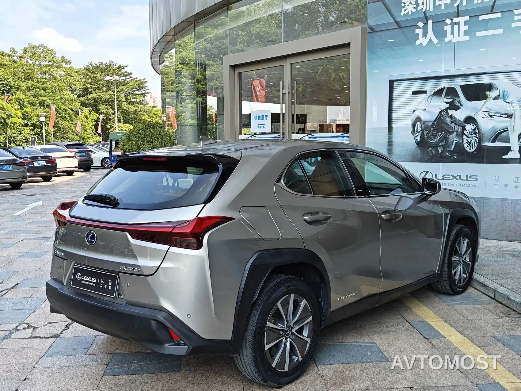 Lexus UX Electric 2020 300e Pure Yue Edition — фото 8