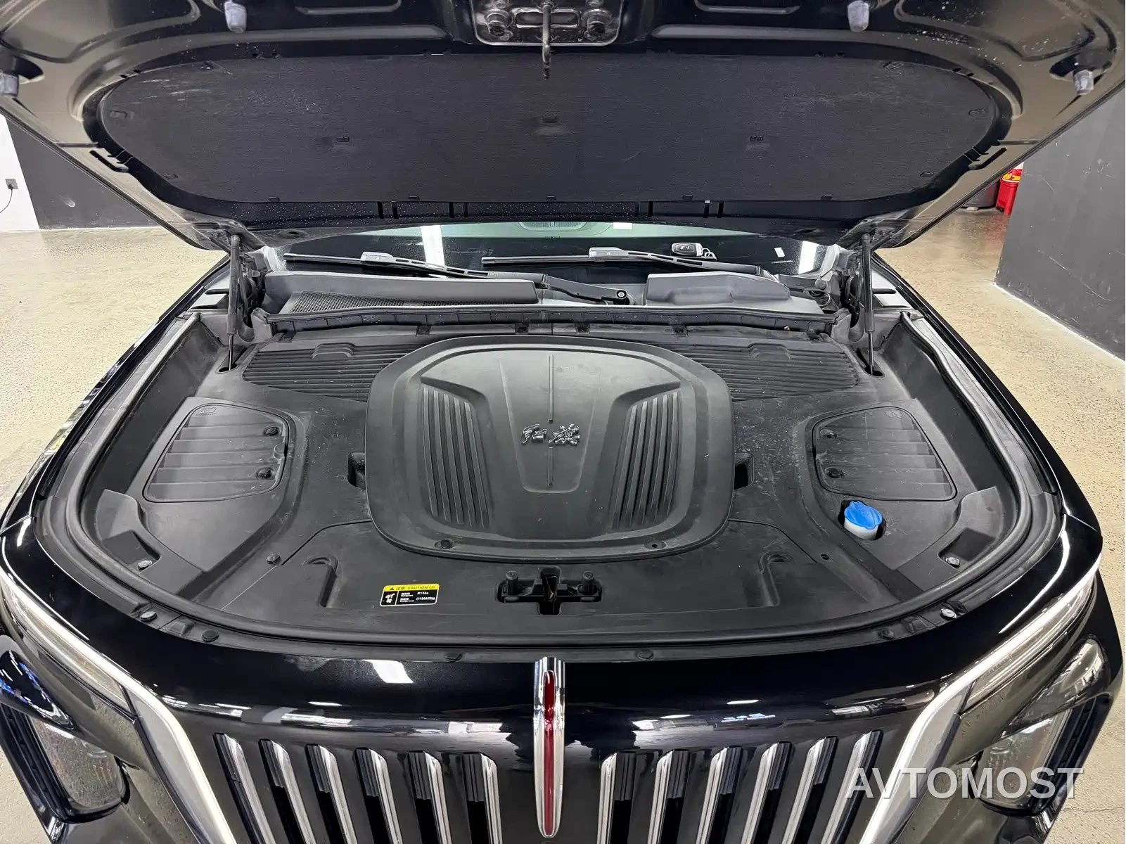 Hongqi E-HS9 2021 460km Flagship Comfort 6-seater — фото 28