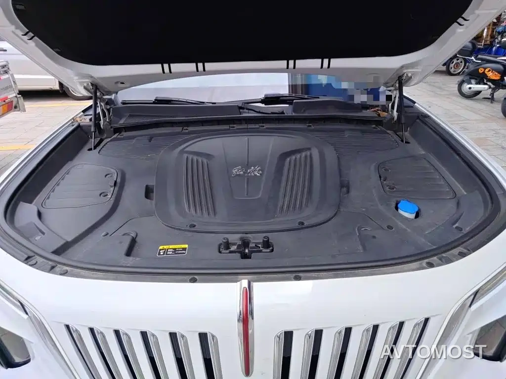 Hongqi E-HS9 2021 510km Flagship Comfort 6-seater — фото 9