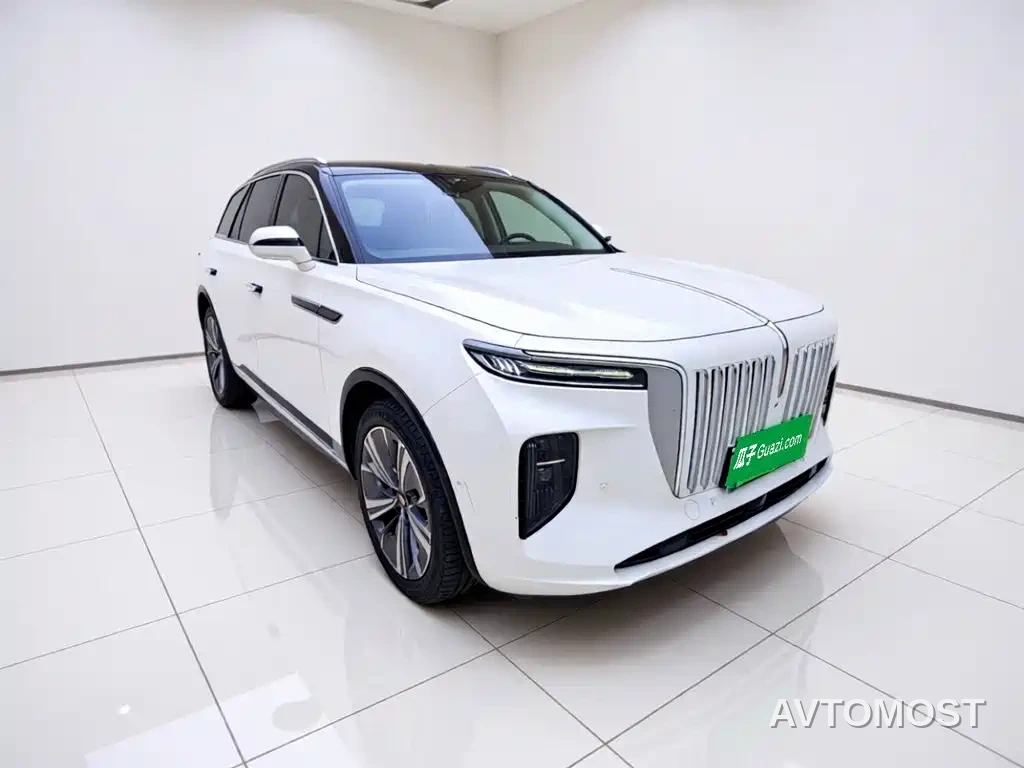 Hongqi E-HS9 2021 510km Flagship Comfort 6-seater — фото 22