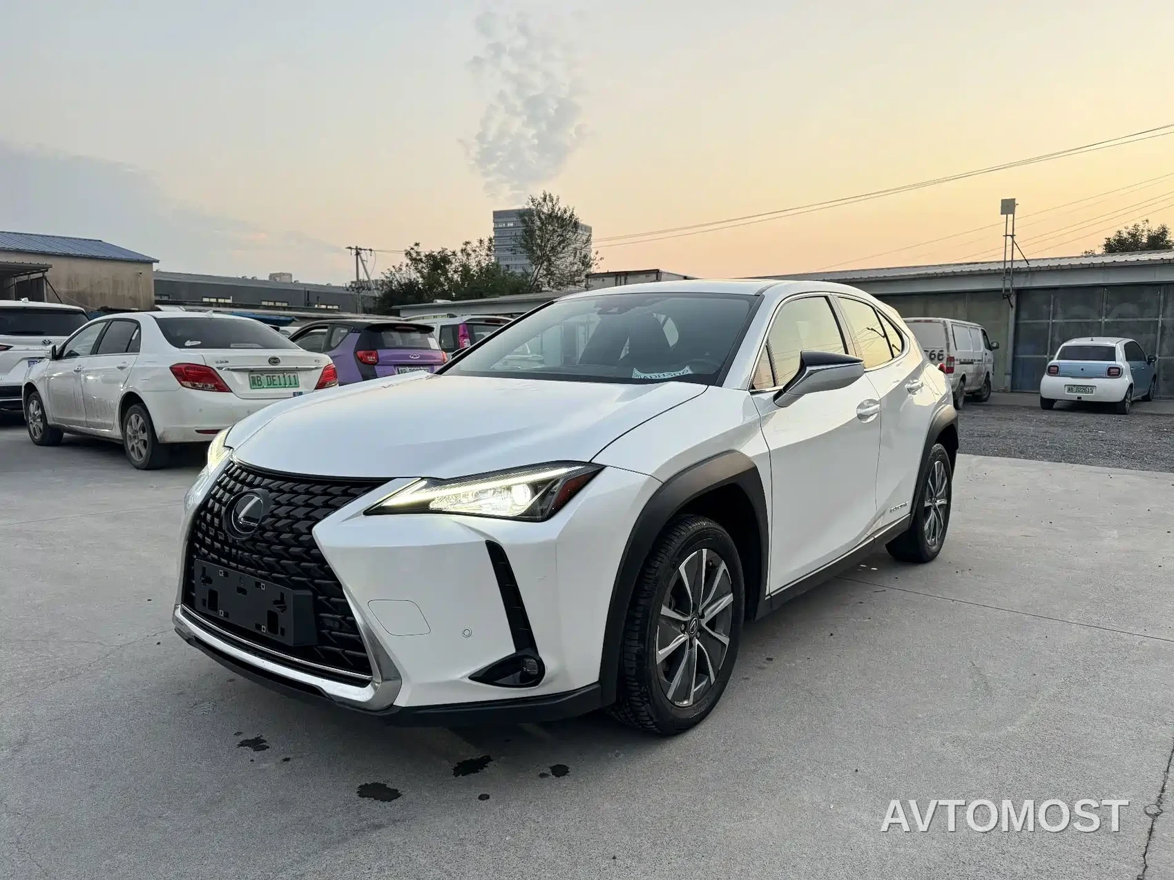 Lexus UX Electric 2020 300e Pure Enjoyment Edition — фото 1